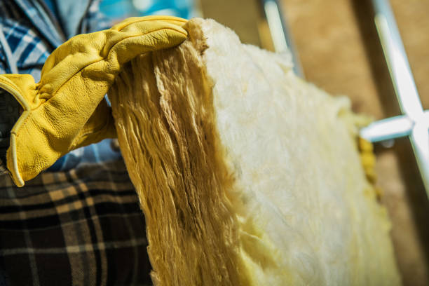 Best Eco-Friendly Insulation in Wolfhurst, OH