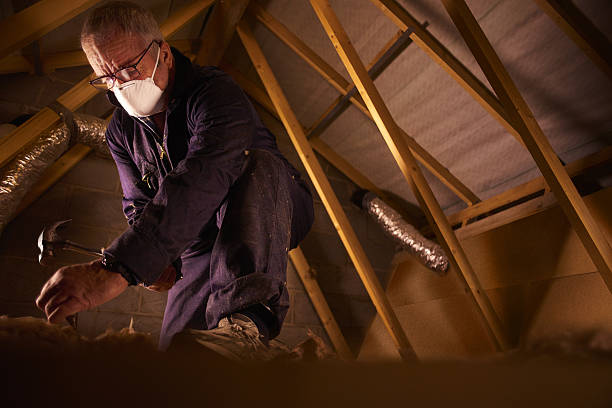 Types of Insulation We Offer in Wolfhurst, OH